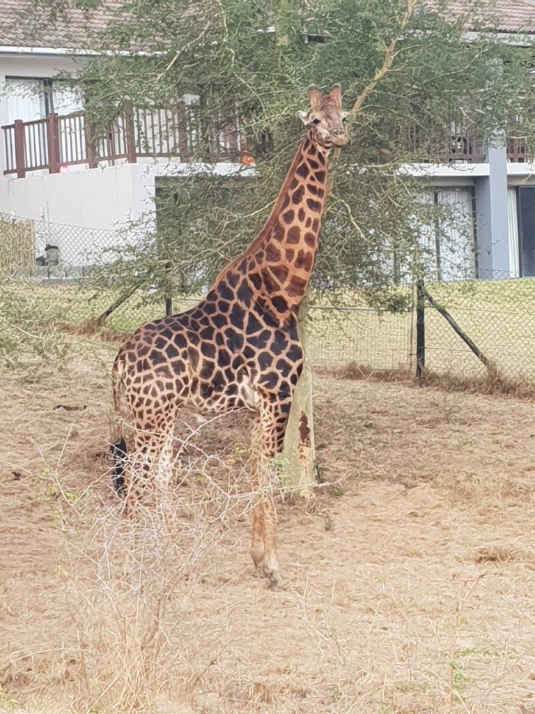 IMG 20190819 WA0111